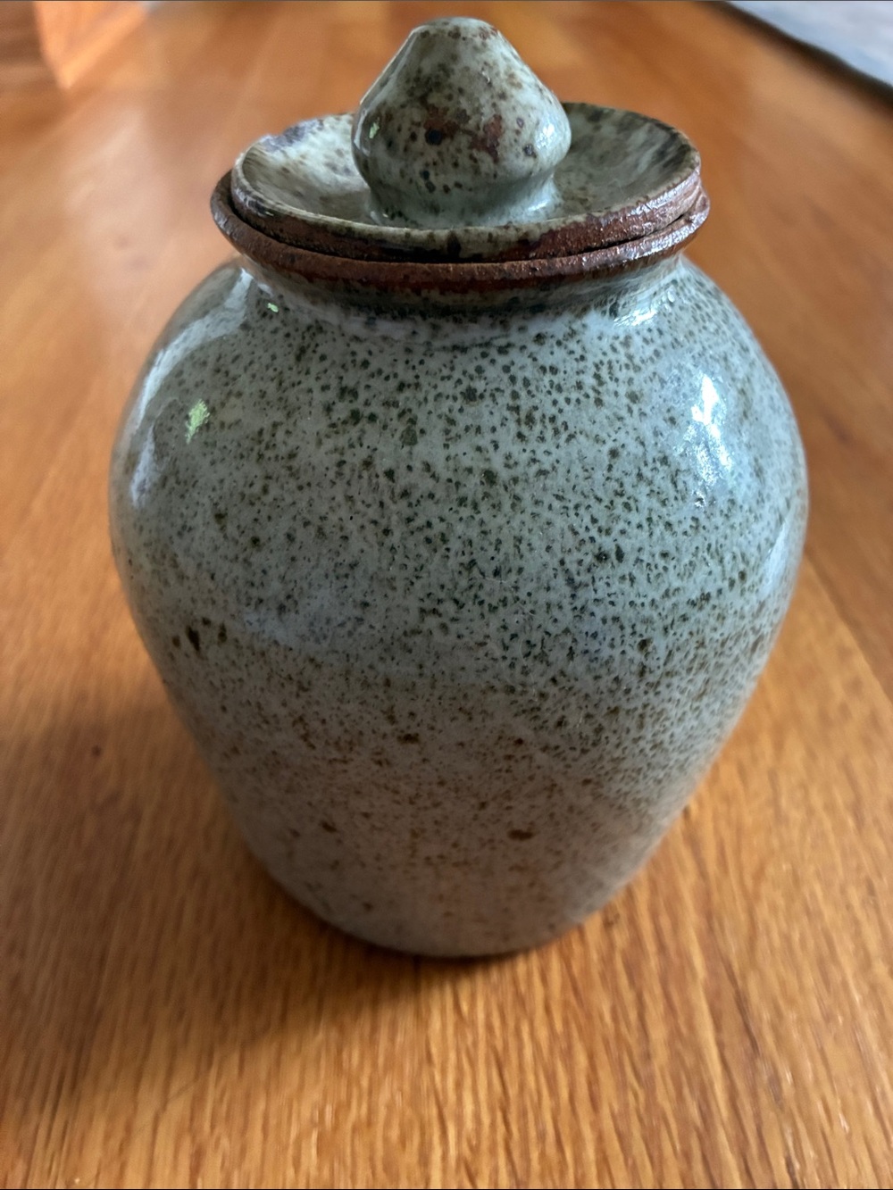 Handcrafted Speckled Ceramic Jar - Sage Green